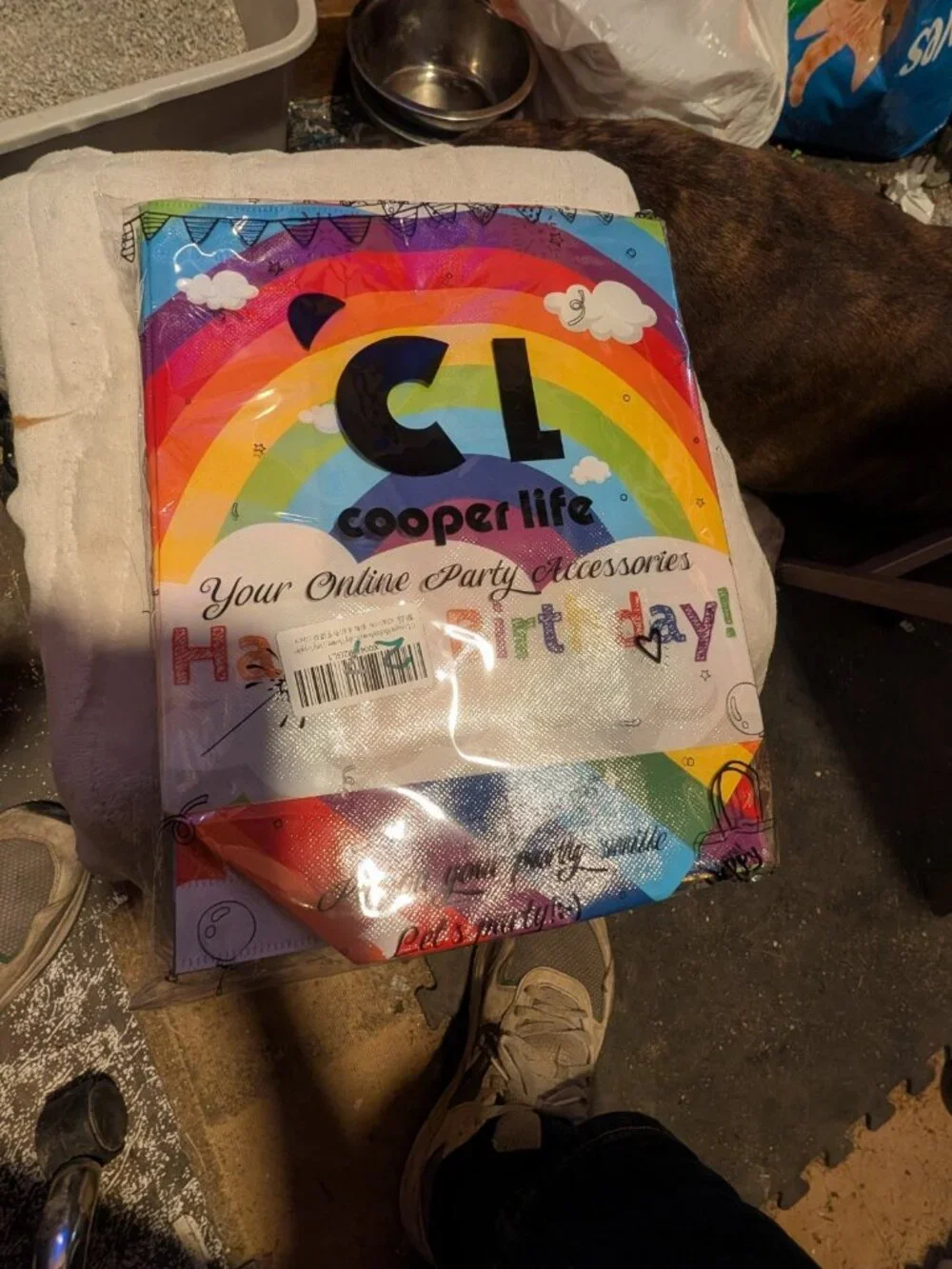 10 Pc Cooper Life Rainbow Party Favor Bags 12pc Non-Woven Tote Birthday
